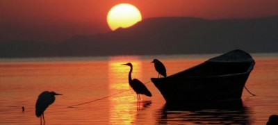 World Wildlife Day: UN chief urges â€˜more caringâ€™ relationship with nature