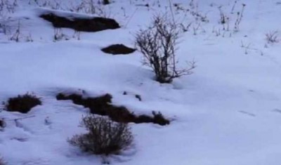 Sikkim: One soldier missing in avalanche in Lugnak La