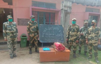 BSF seizes 4000 Yaba tablets and 4 kg Ganja along Indo-Bangladesh border