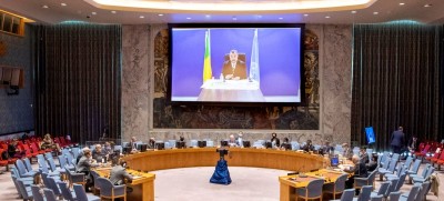 Transitional President in Mali appoints new Prime Minister, top UN official tells Security Council