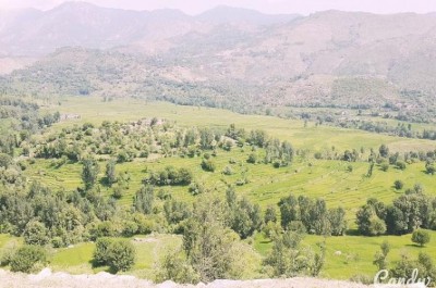 Explosion rocks Pakistan house, seven killed 