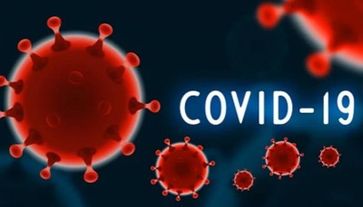 Actor Lee Fierro dies due to complications related to COVID-19 infection  