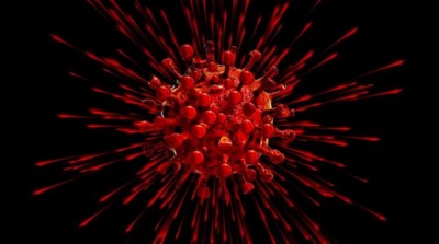 COVID-19: Number of cases reaches 10,331 in S Korea