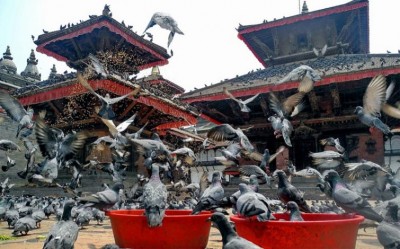 Nepal registers 30 new COVID cases in Kathmandu, tally nears 200