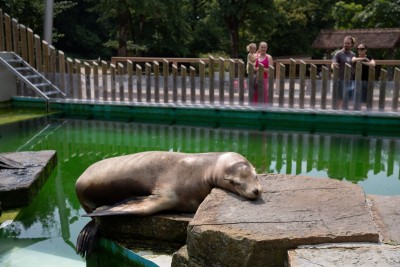 World in Photos : Aug. 11, 2020