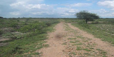 Jammu and Kashmir: 25000 Kanals of State land transferred to I&C Department