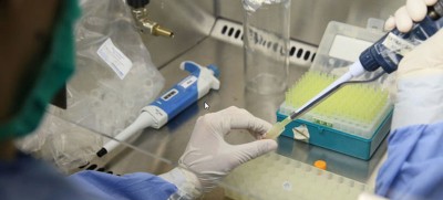 Togo overcomes ‘sleeping sickness’ as a public health problem