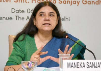 Kerala Elephant death : Case filed against Maneka Gandhi for making provocative comments in social media