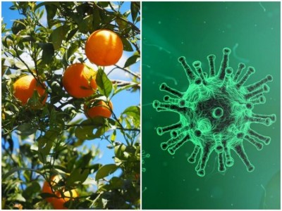 Tripura launches unique immunity-boosting program for urban poor