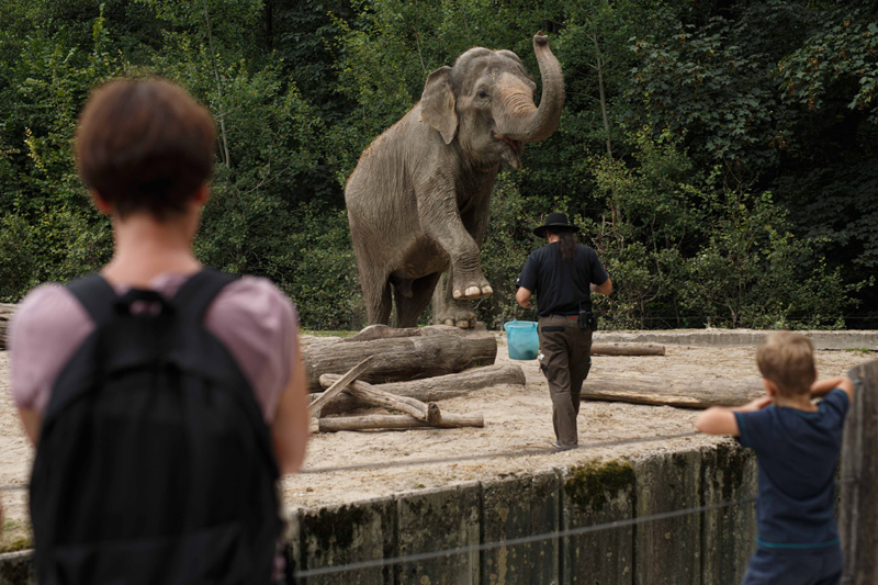 Slovenia: Visitors view Elephant Ganga playing with her keeper at the Ljubljana Zoo