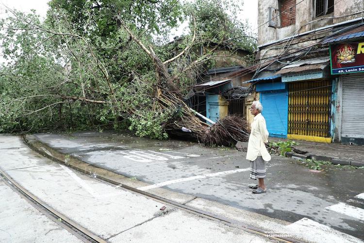 Cyclone Amphan leaves trail of devastation in West Bengal capital Kolkata