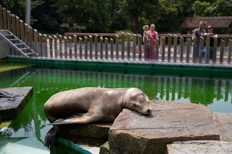World in Photos : Aug. 11, 2020