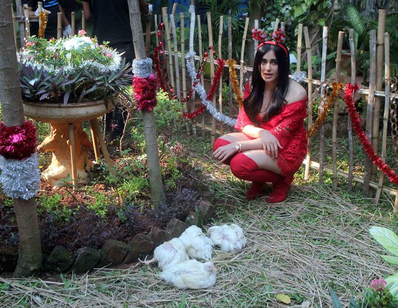 Adah Sharma dresses as Santa Claus
