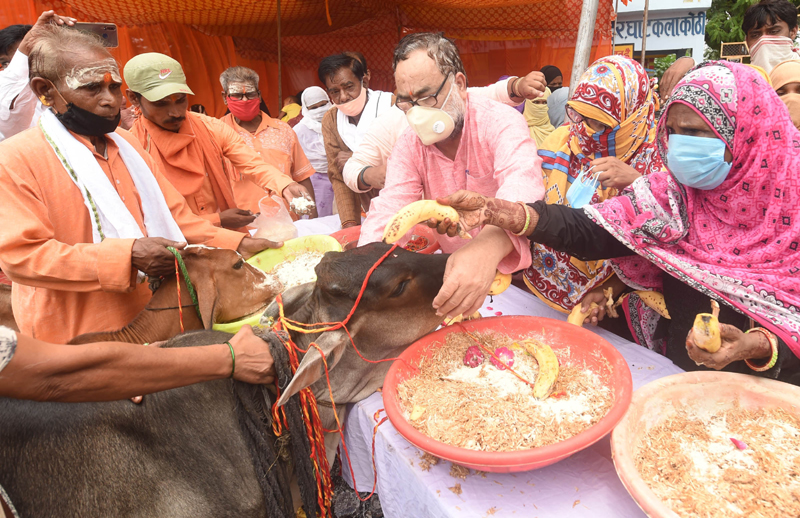 Bukkal Nawab BJP MLC tie rakhi to cows