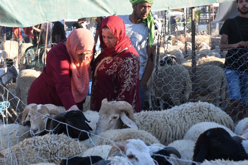 Photo in World : July , 20 , 2020