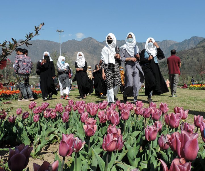 JK Governor inaugurates tulip festival in Srinagar