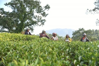 Meghalaya: HNLC: Seeking Attention