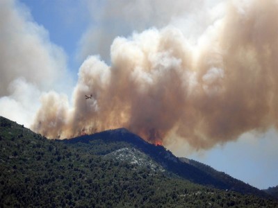 Massive wildfire continues to blaze for the 6th day in Dzuko Valley; IAF, NDRF, fire brigade teams deployed