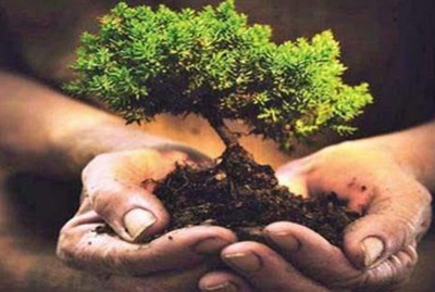 Jammu and Kashmir:  Plantation drive held at Manasbal