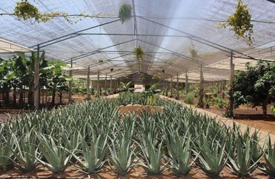 2-week training on smart agriculture begins at SKUAST-K