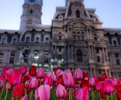 Your Budget-friendly Philadelphia