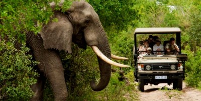 How do I prepare for a trip to South Africa?