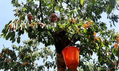 Jammu and Kashmir: GoI launches PM-KUSUM for farmers