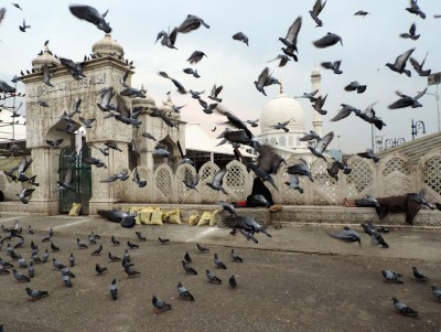 COVID-19 impact: Major shrines, mosques remains shut on Shab-e-Qadr in Kashmir