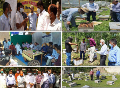 Kashmir celebrates Apiculture Mapping Day