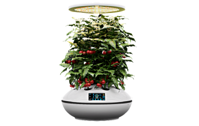 Technology assisted hydroponics to grow plants in urban homes