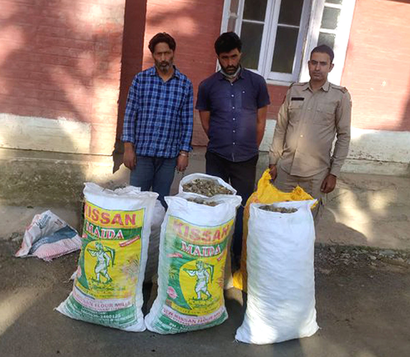 Two drug peddlers arrested with 40 kg poppy straw in Jammu and Kashmir