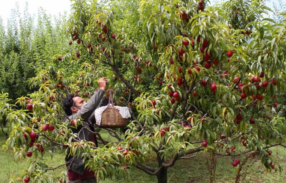 India: Images of the Day