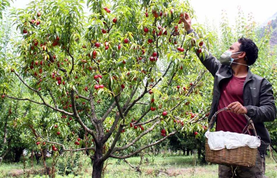 India: Images of the Day