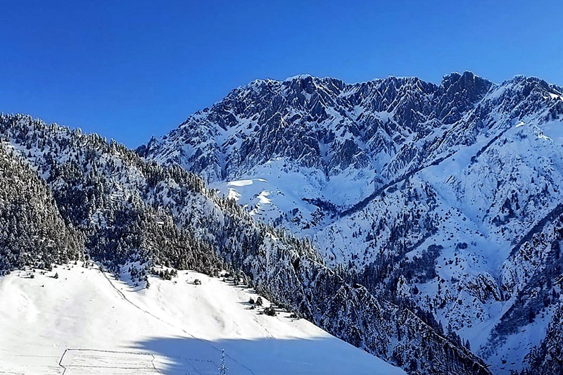 Snowfall in Srinagar
