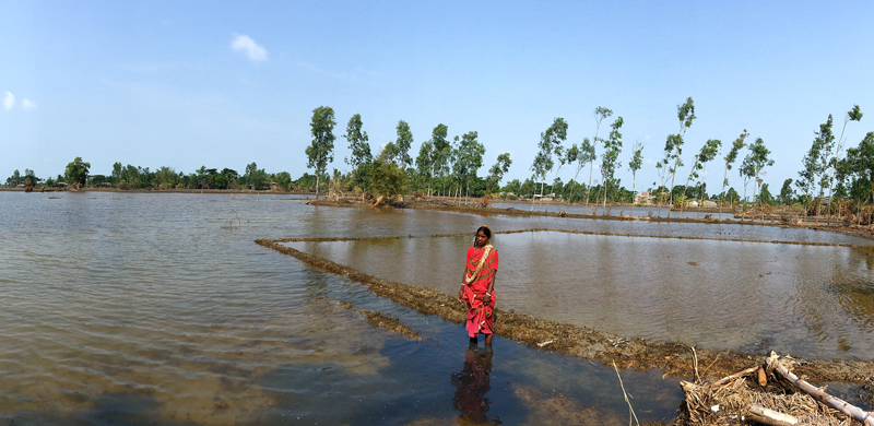 Sundarbans: Life After Cyclone Yaas