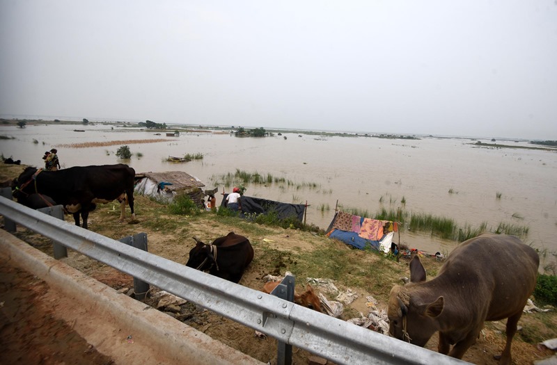 Submerged area of Patna after heavy rains