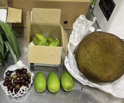 Assam sends first air cargo shipment of fruits to Singapore, CM Sarma describes the move as 'fantastic'