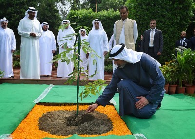 India-UAE: Visiting Abu Dhabi Crown Prince plants tree in Delhi's Rajghat in keeping with tradition