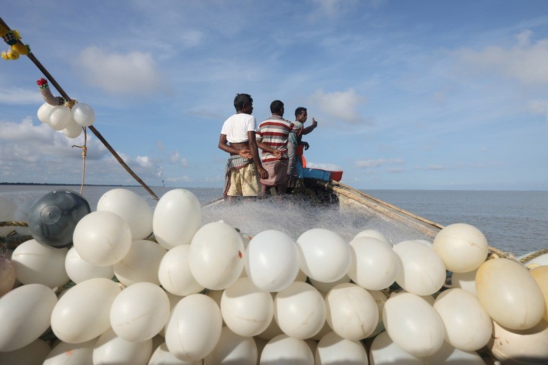 In Images: On the trail of hilsa in the Bay of Bengal before the prized catch transforms into a Bengali delicacy
