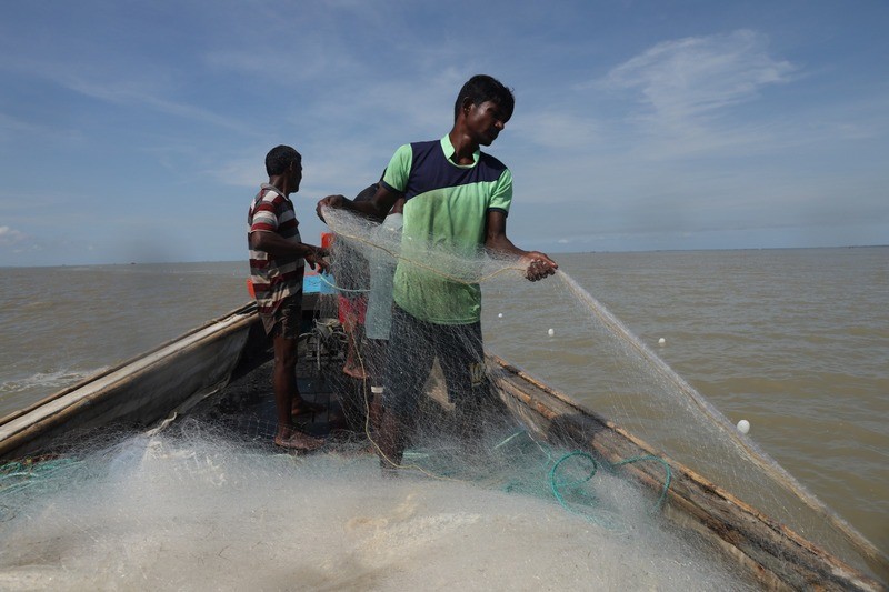 In Images: On the trail of hilsa in the Bay of Bengal before the prized catch transforms into a Bengali delicacy