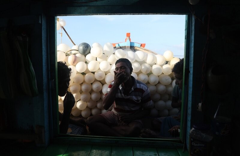 In Images: On the trail of hilsa in the Bay of Bengal before the prized catch transforms into a Bengali delicacy