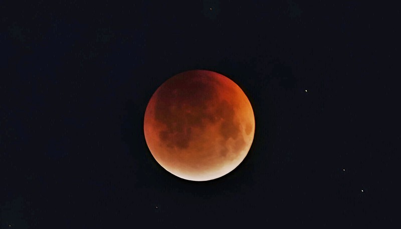 Celestial spectacle in images: The blood moon lunar eclipse seen from India