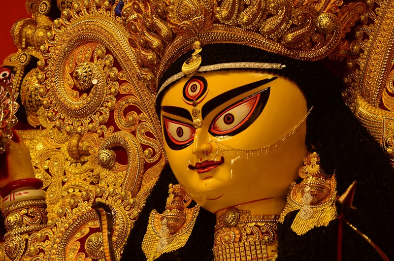 In Images: Kolkata Celebrates Jagadhatri Puja