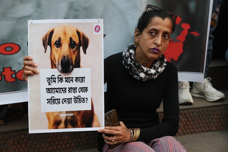 In Images: Animal-lovers march in Kolkata after top court’s stray-dog directive