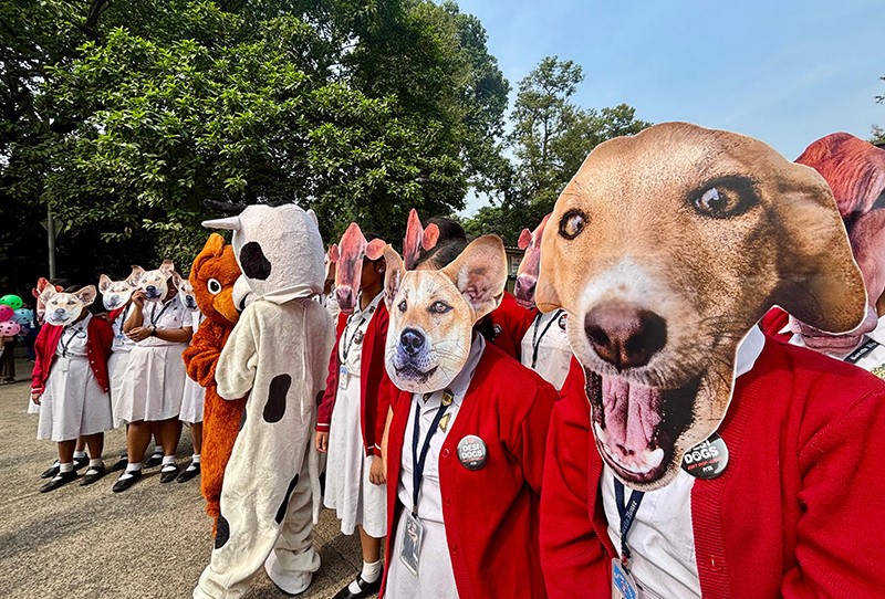 In Images: PETA and students rally against Supreme Court’s animal rounding order in Kolkata