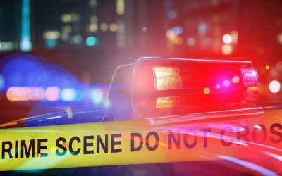 US: Vehicle rams into crowd in Los Angeles, over 20 injured