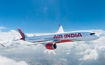 Domestic air passenger traffic shrinks 2.94% YoY, Air India loses 1% market share sequentially