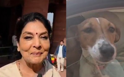 'Those who bite are inside': Congress MP Renuka Chowdhury sparks row with a puppy in Parliament