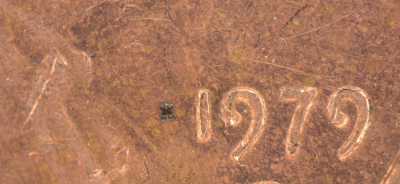 World’s tiniest robots can think, swim, and work for months—And cost just a penny