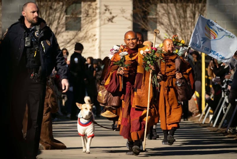 Once an Indian stray, Aloka now inspires millions by walking across continents with monks for peace.